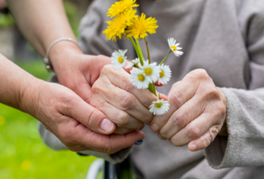 Elderly Individuals