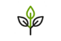 Positive Behaviour<br> Support